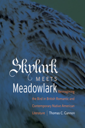 Skylark Meets Meadowlark book cover