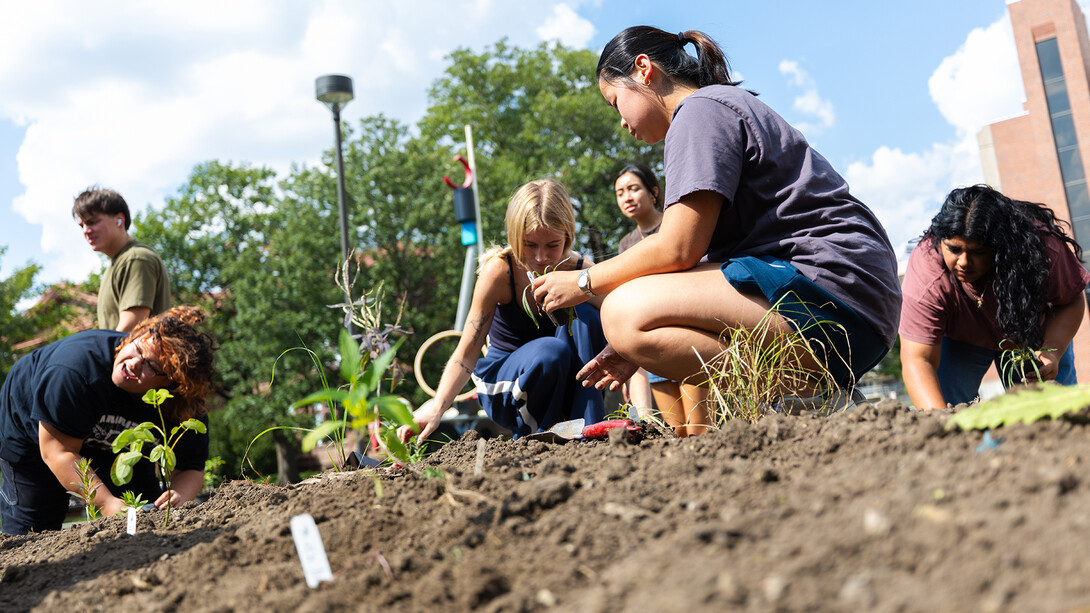 Students planting the garden