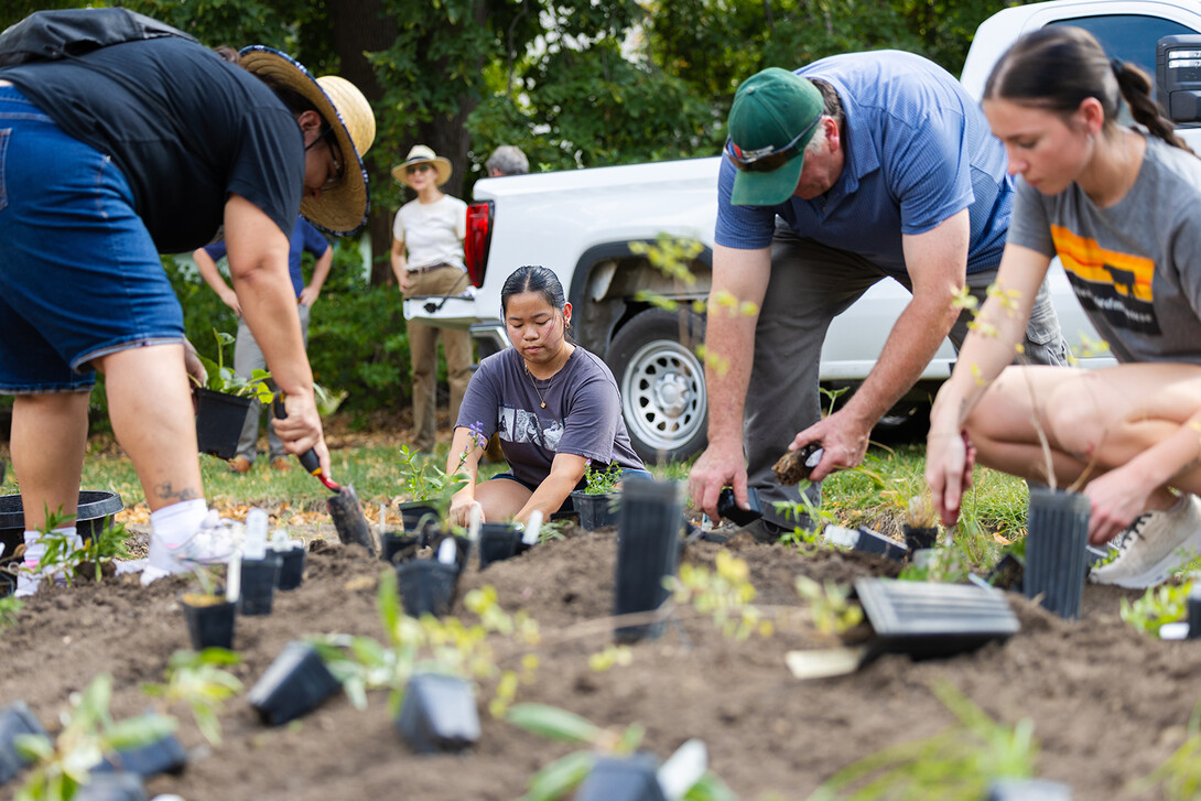People planting the Indigenous garden