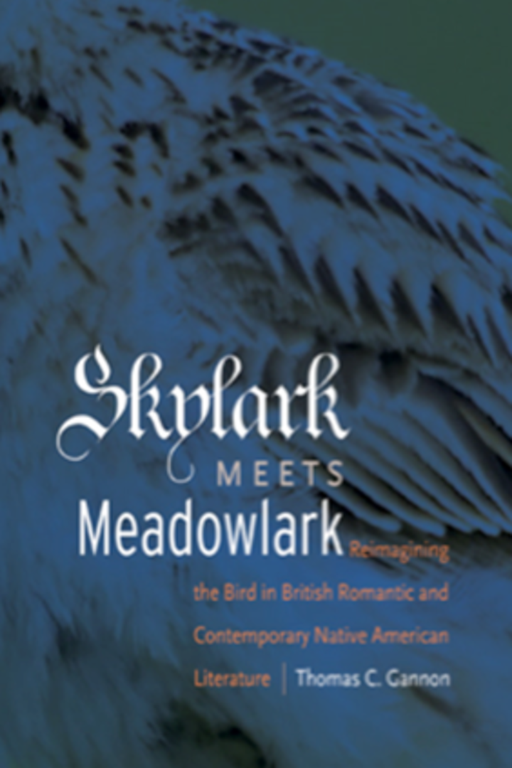 Cover of Skylark Meets Meadowlark